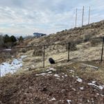Chain link fence contractor in Pleasant Grove, Utah